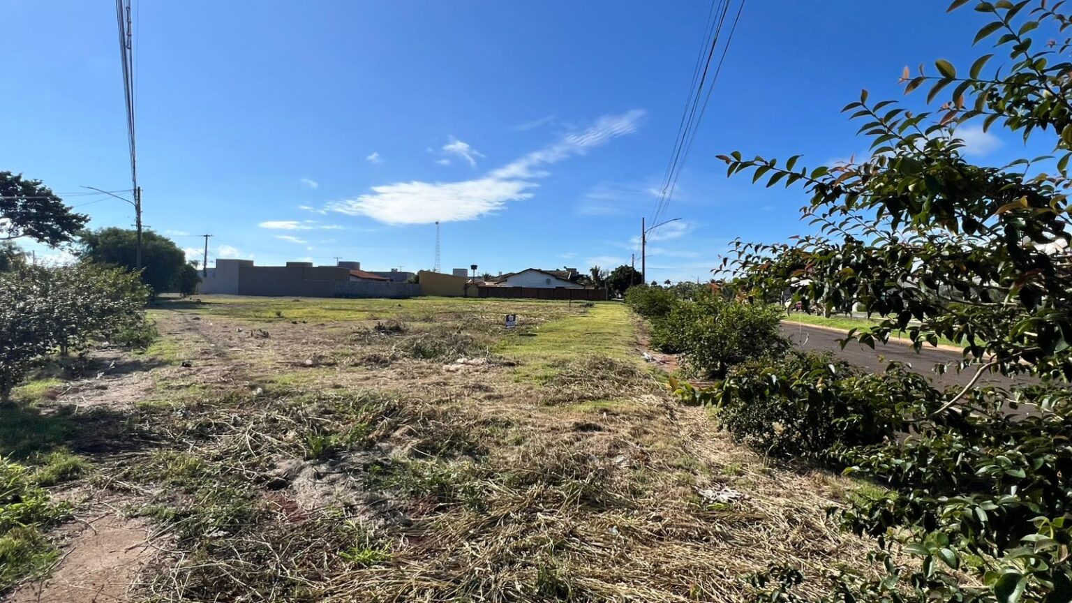 WhatsApp-Image-2025-01-20-at-08.35.22-2