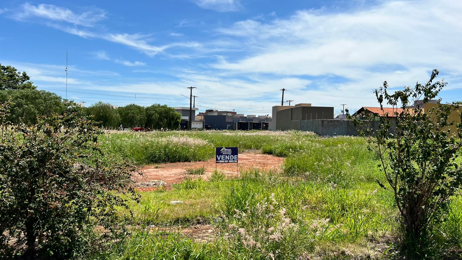 WhatsApp-Image-2025-01-15-at-11.16.09